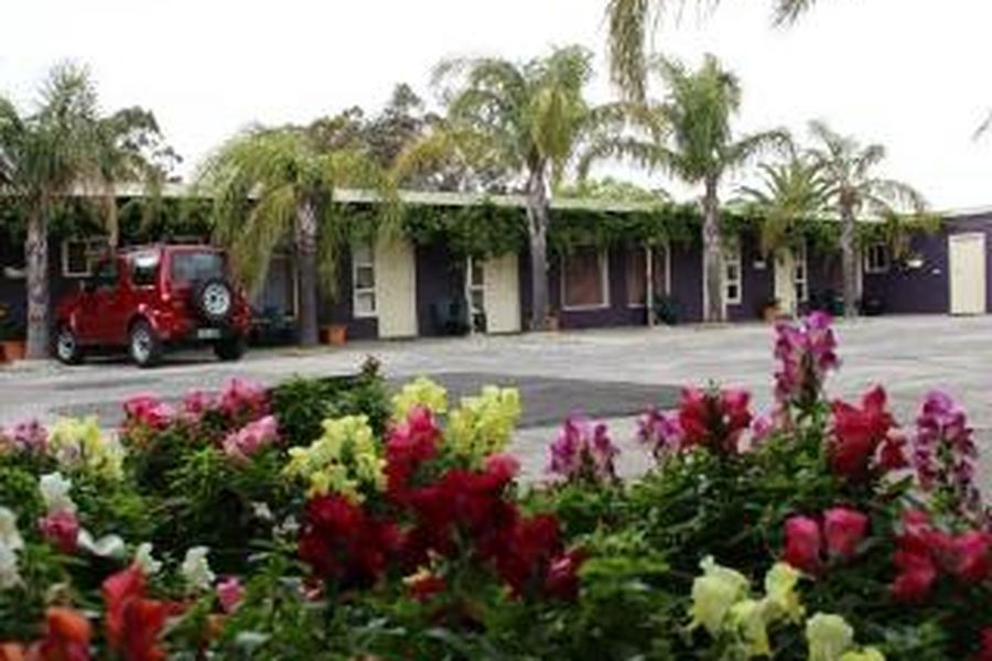 photo-1