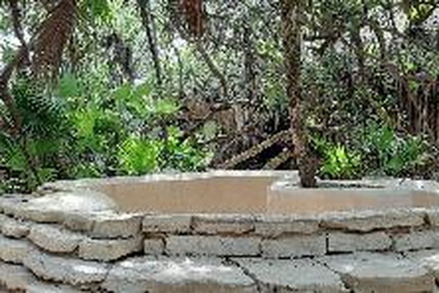 photo-2