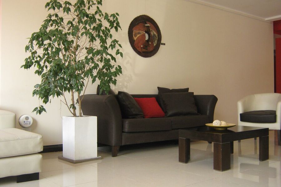 foto-1