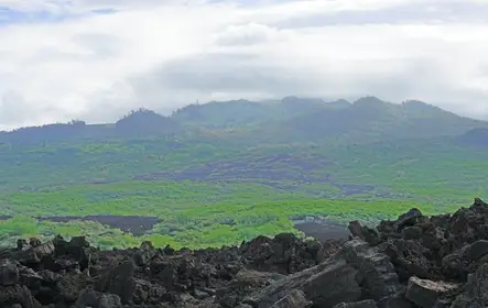 Passeio autoguiado pelos parques da praia de Maui