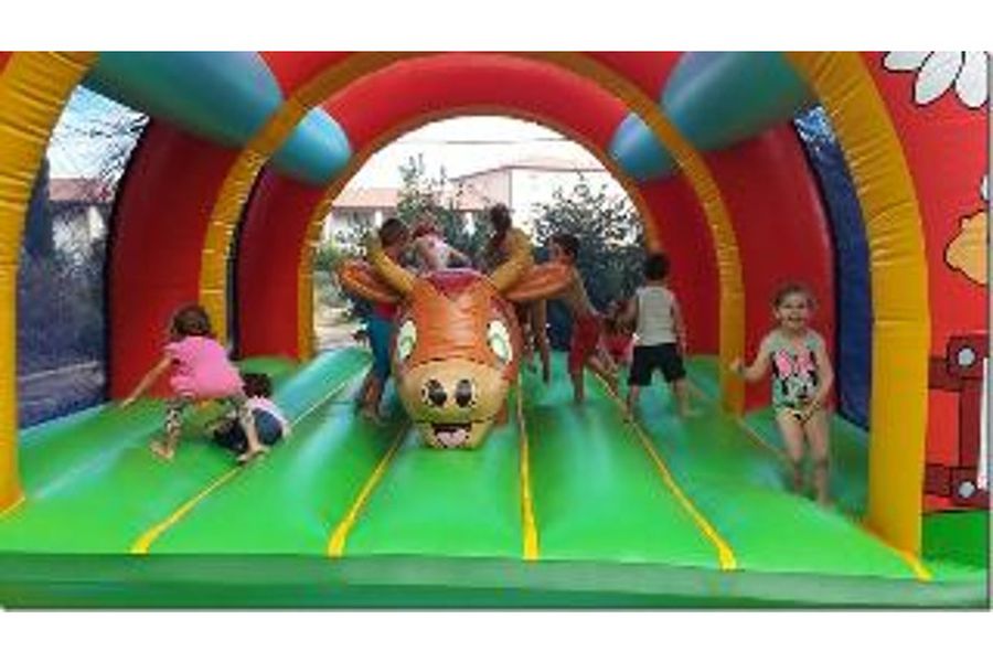photo-3