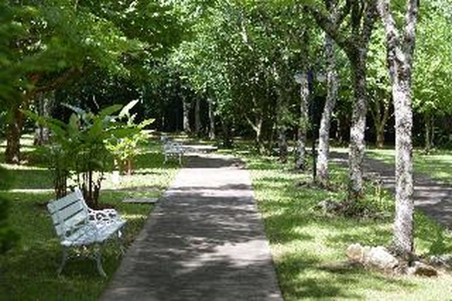 foto-2
