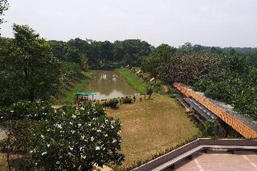photo-3
