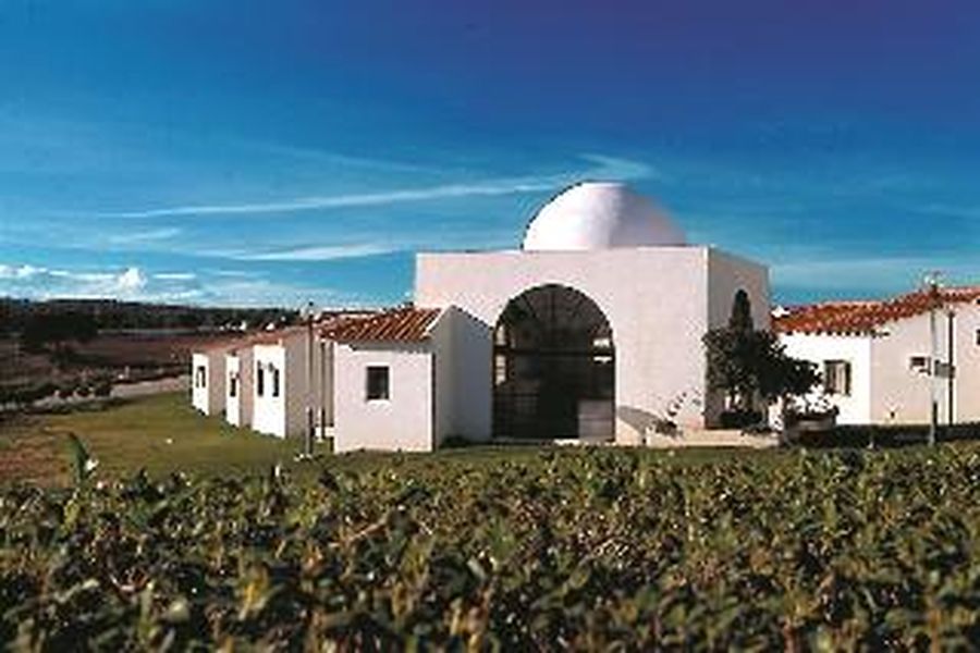foto-3