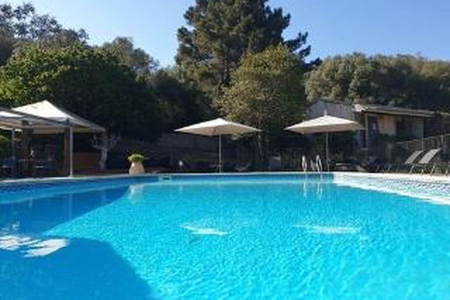 foto-1