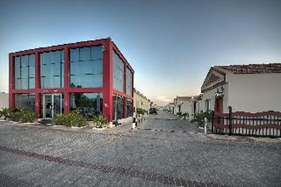 foto-1