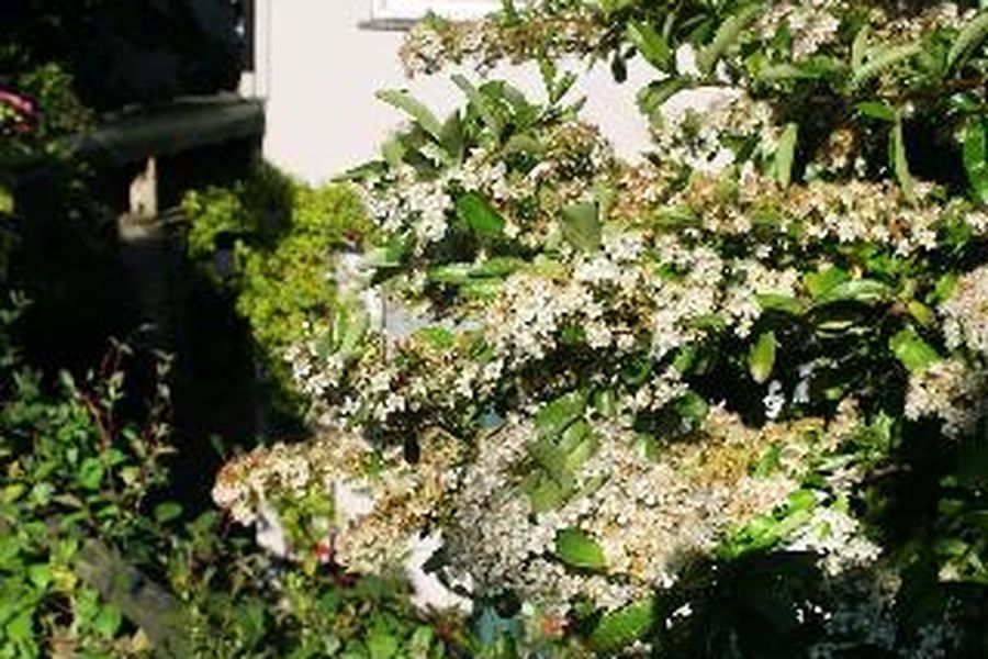 photo-2