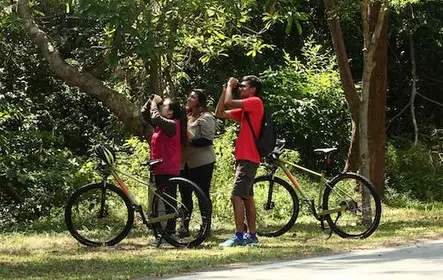 Passeio guiado de bicicleta pelo campo em Langkawi