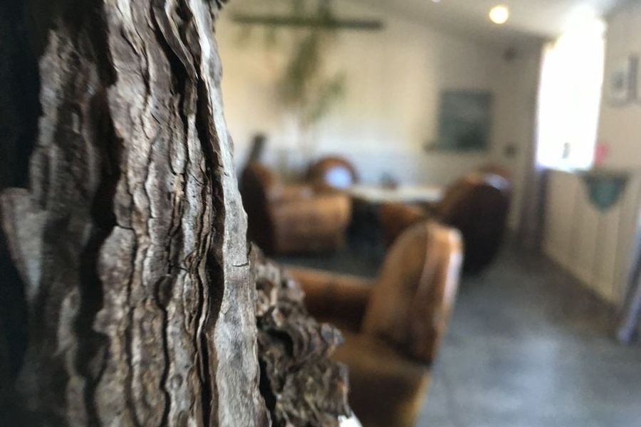 photo-1