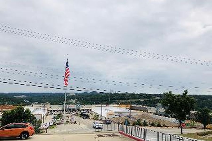photo-1