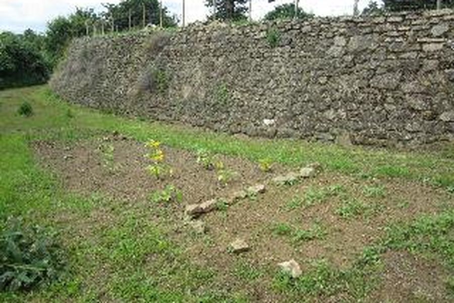 foto-3