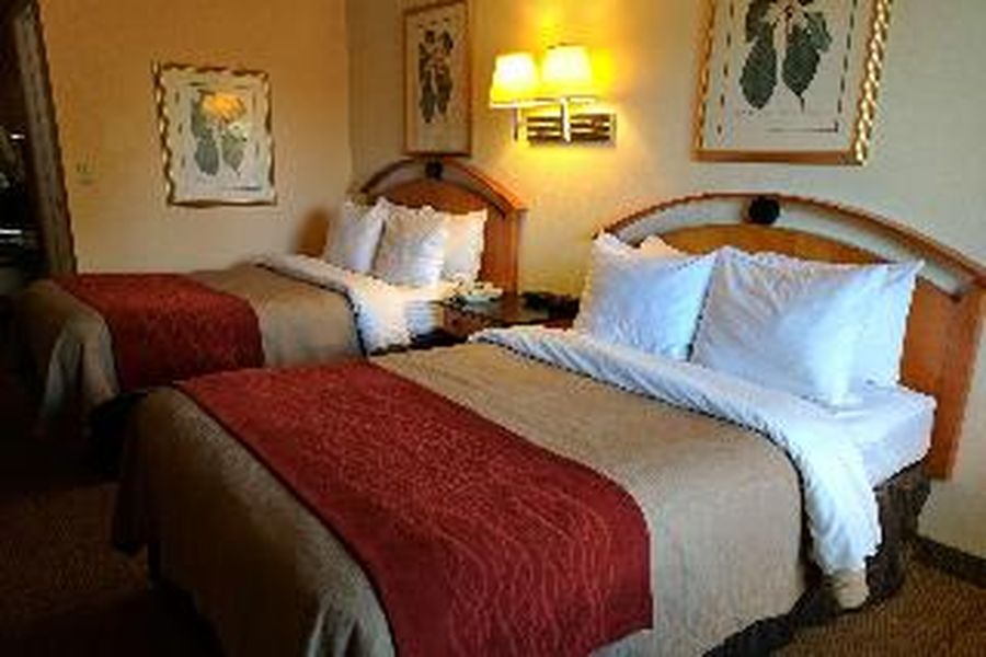 photo-2