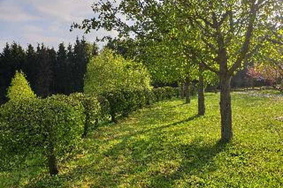 foto-2