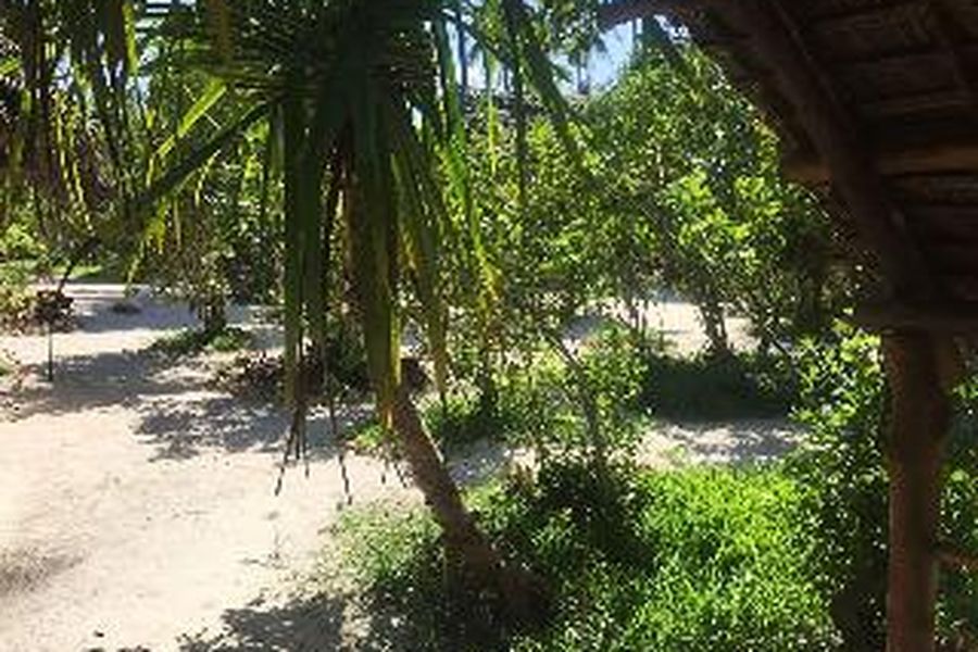 foto-3