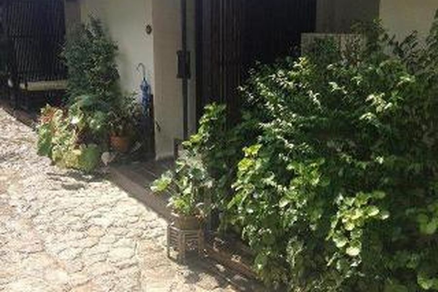 foto-2