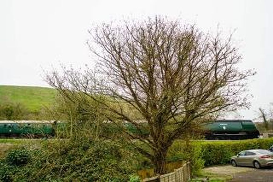 photo-2