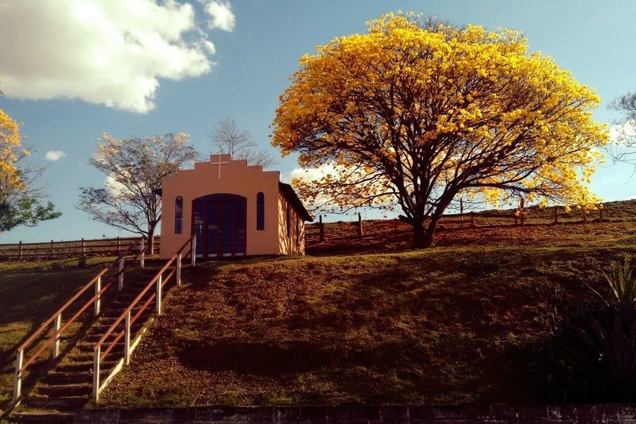 photo-1
