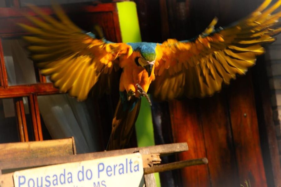 foto-0
