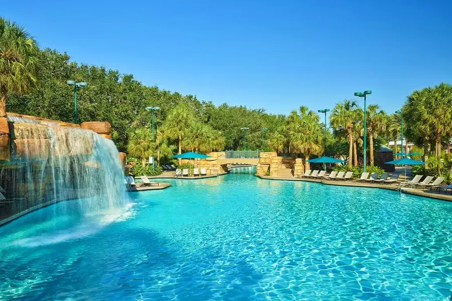 Dolphin resort hot sale