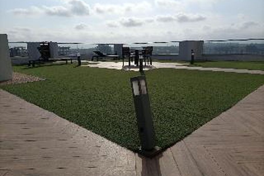 foto-3