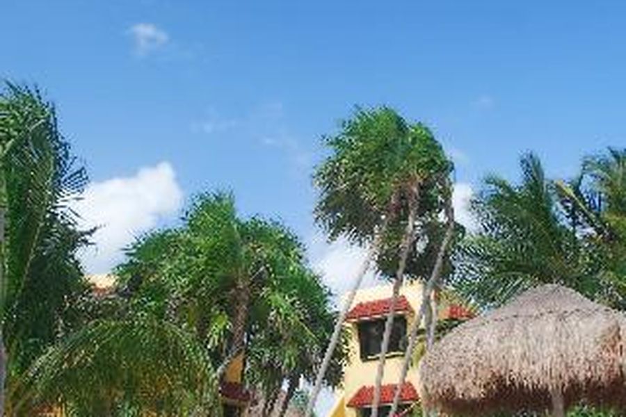foto-1