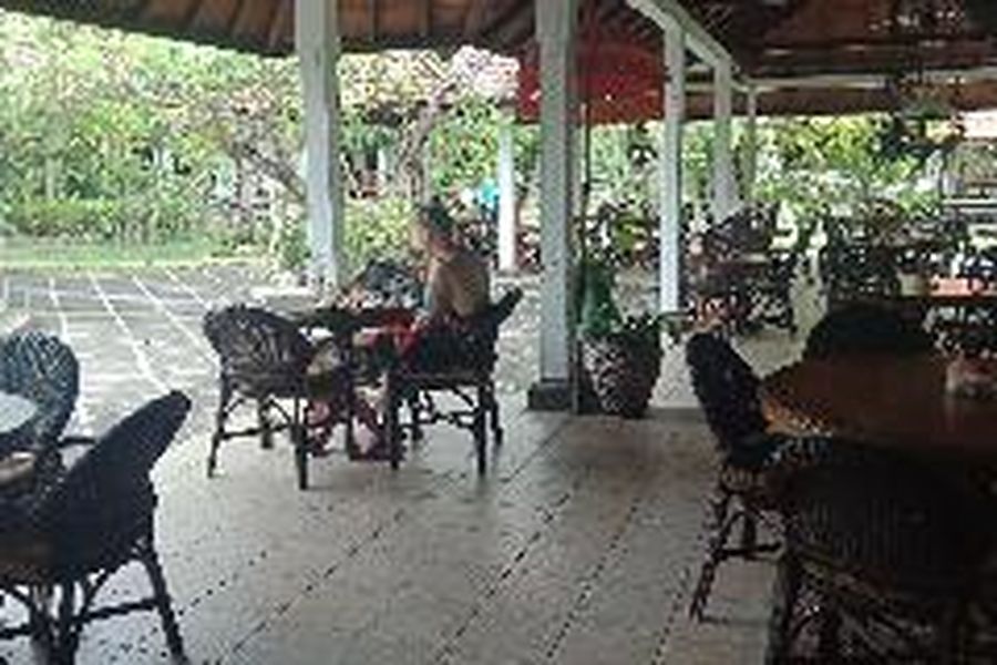foto-1