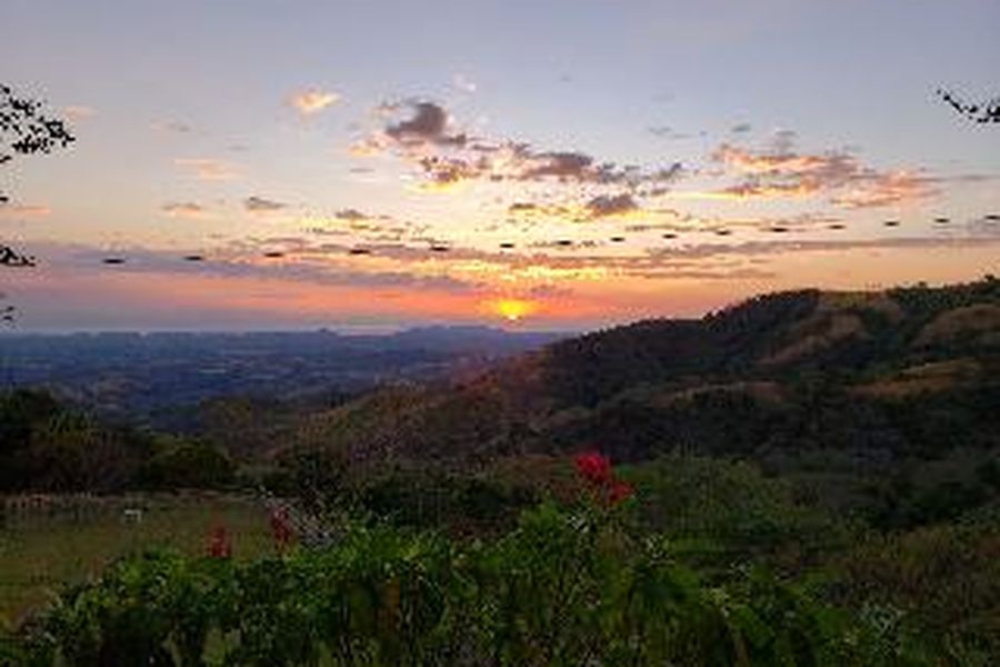 foto-0