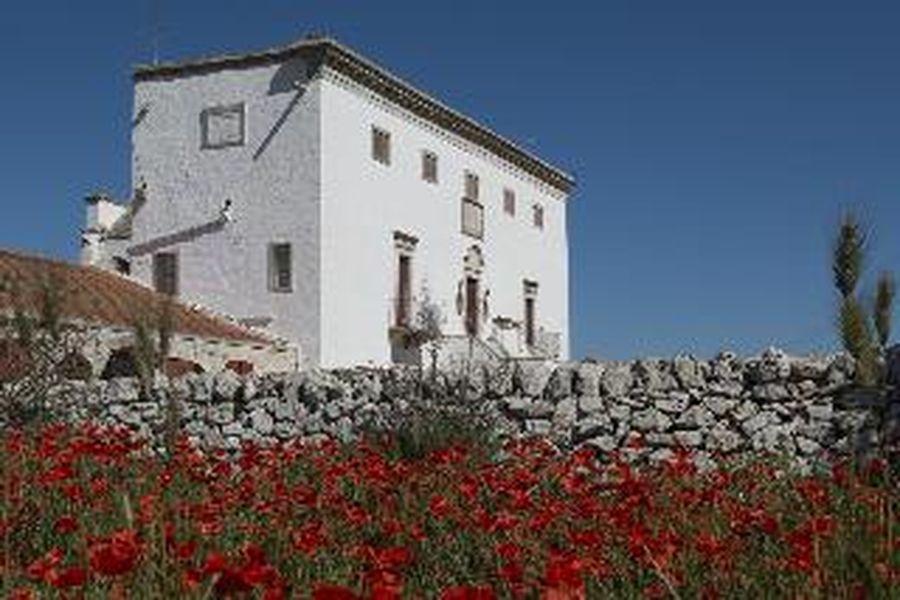 foto-3