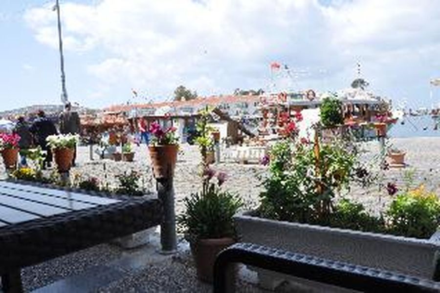 foto-1