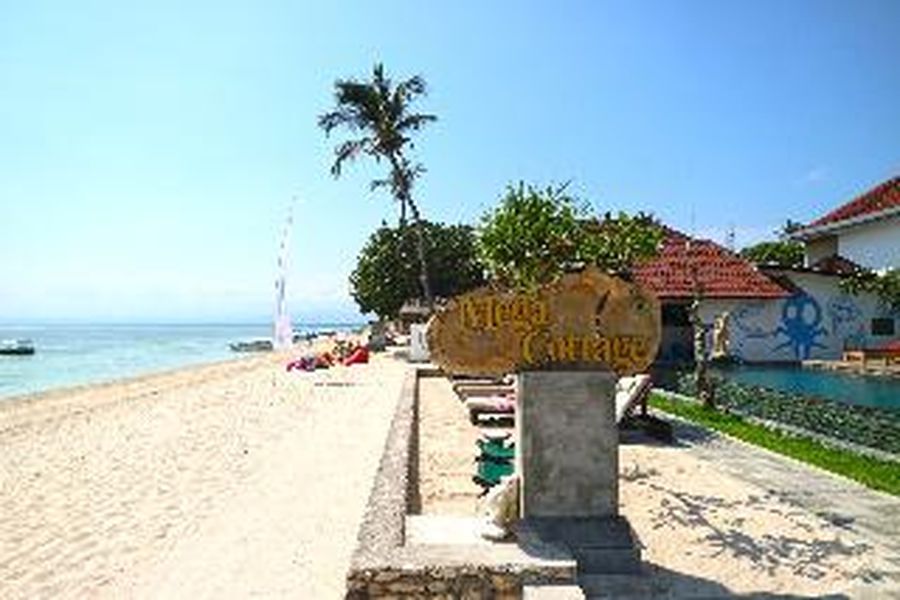 foto-2