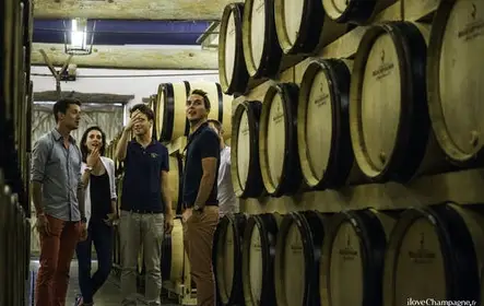 Tour familiar de un día corto y almuerzo desde Reims