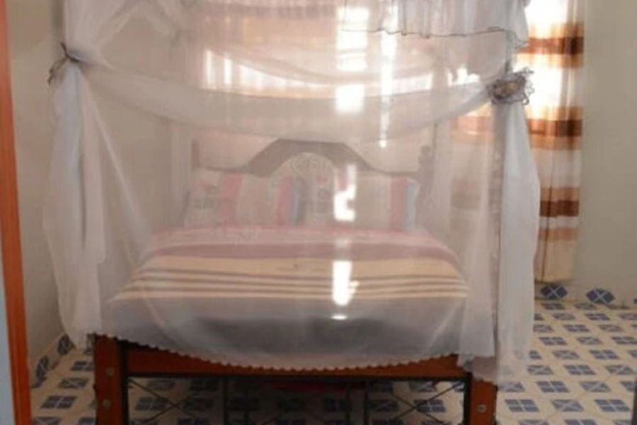foto-1