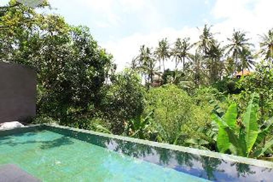 foto-1