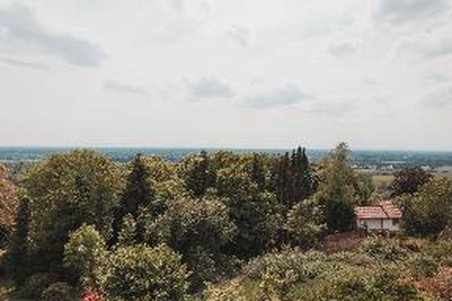 foto-0