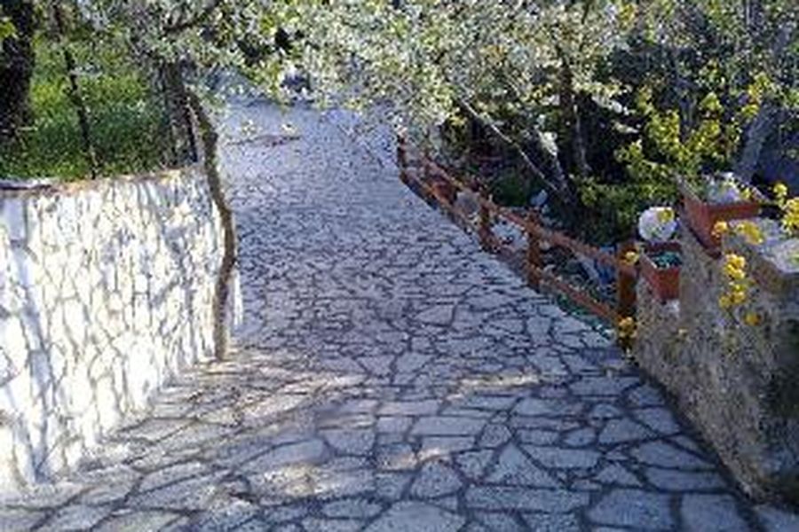 photo-2
