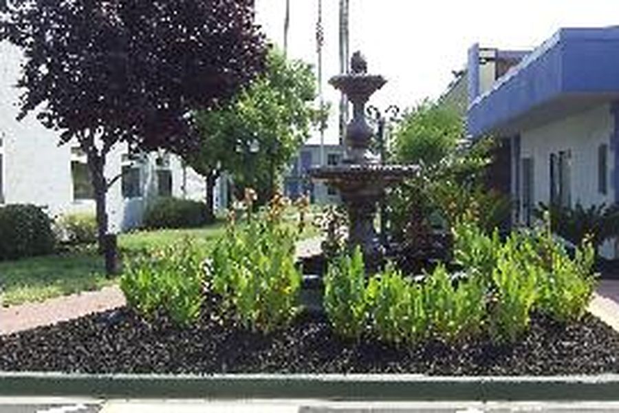 photo-2