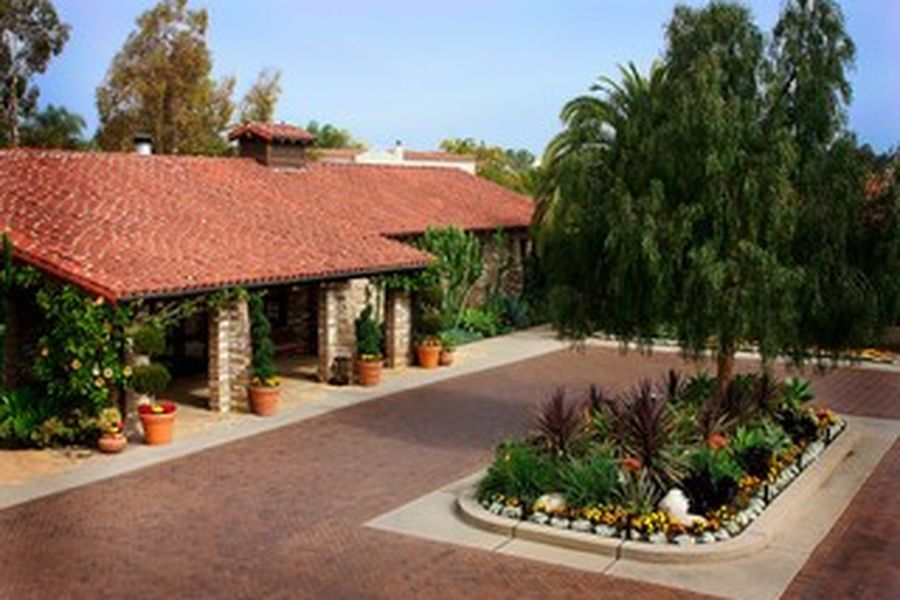 photo-1