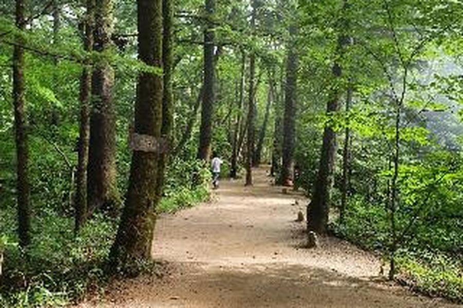 photo-1
