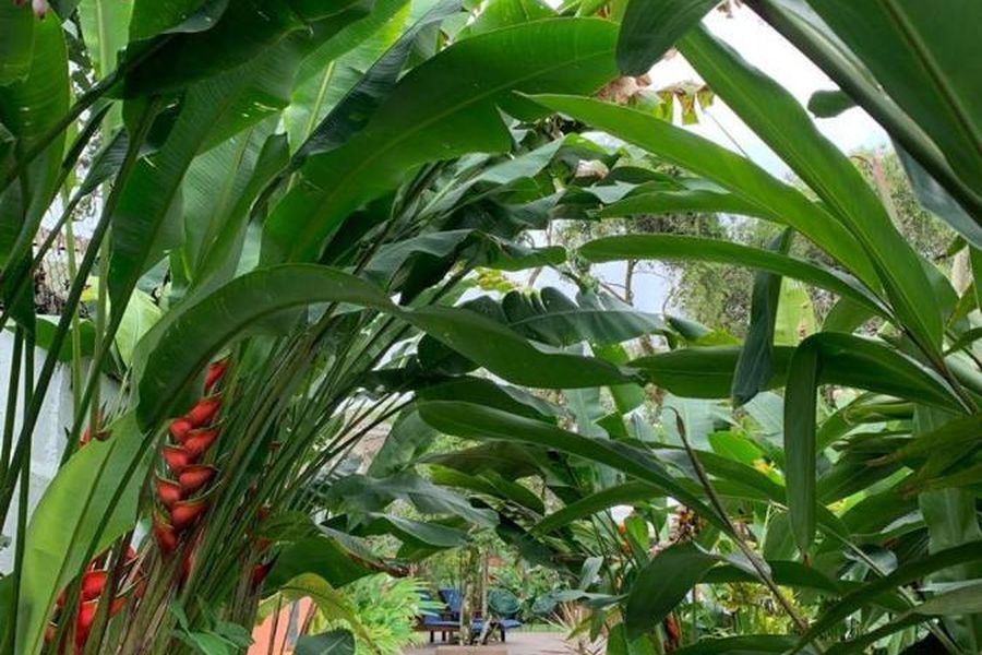 foto-3