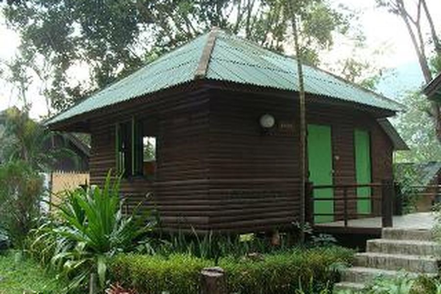 foto-1