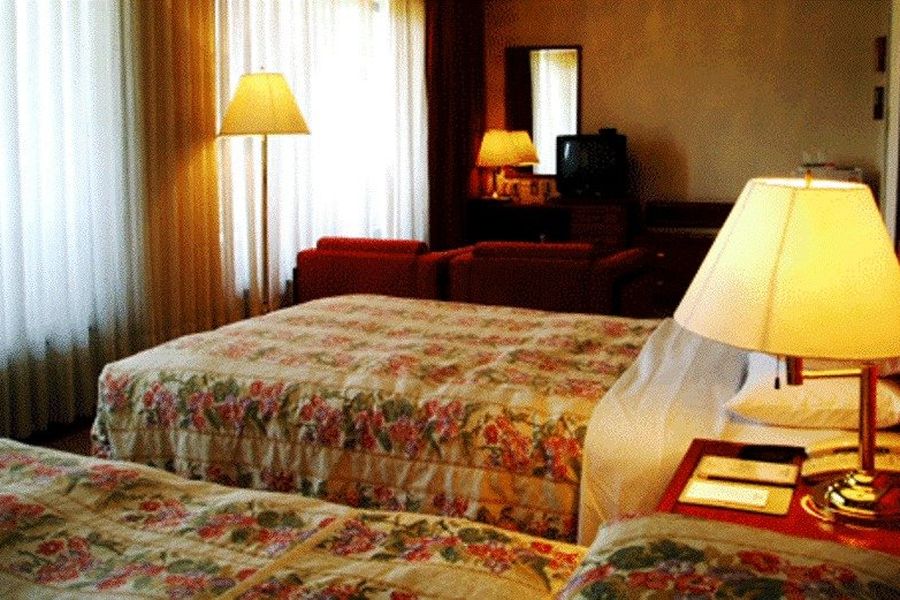 foto-3