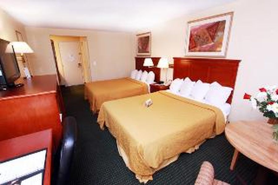 foto-2