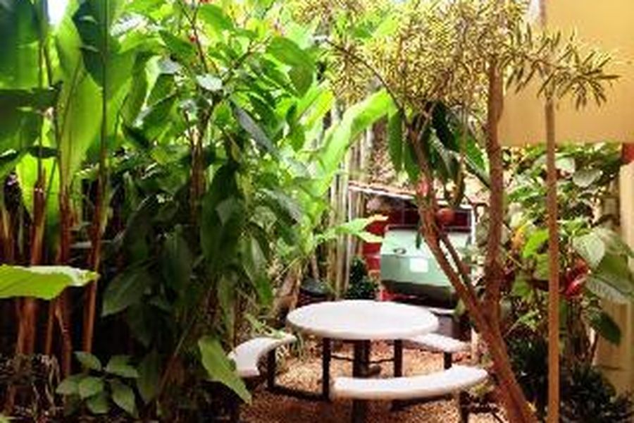 foto-3