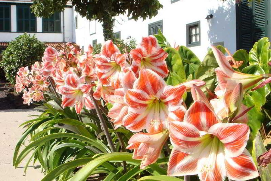 foto-1