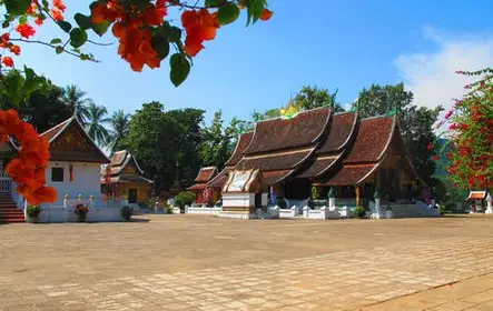 Tour de medio día por Luang Prabang con clase de cocina
