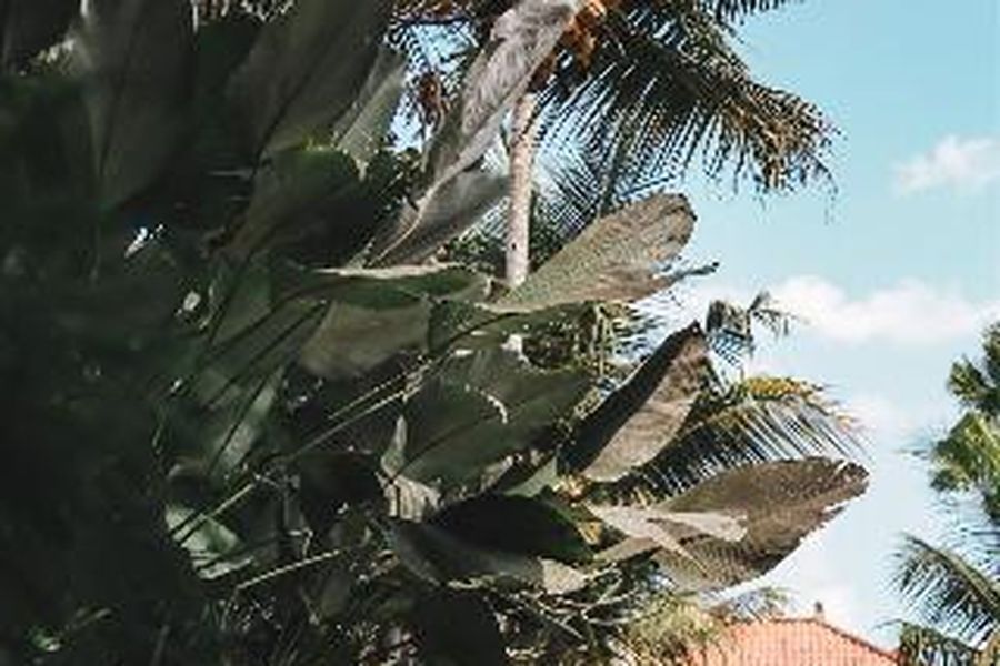 foto-1