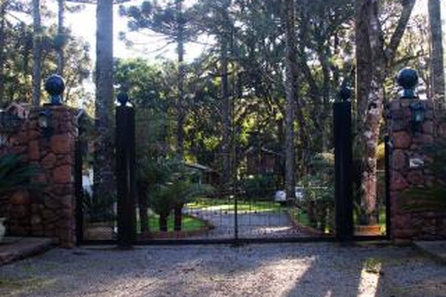 foto-1