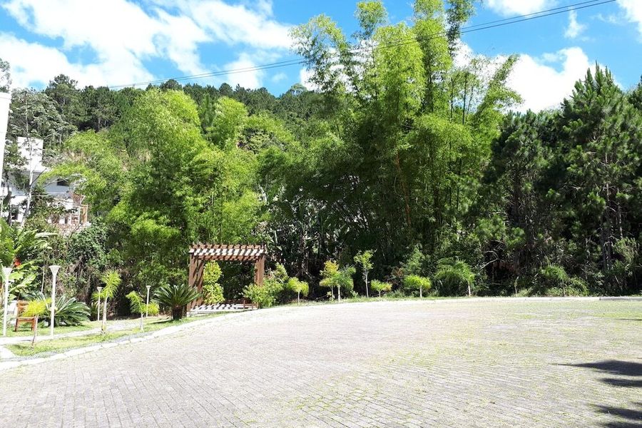 foto-3