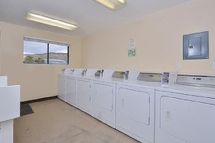 photo-1