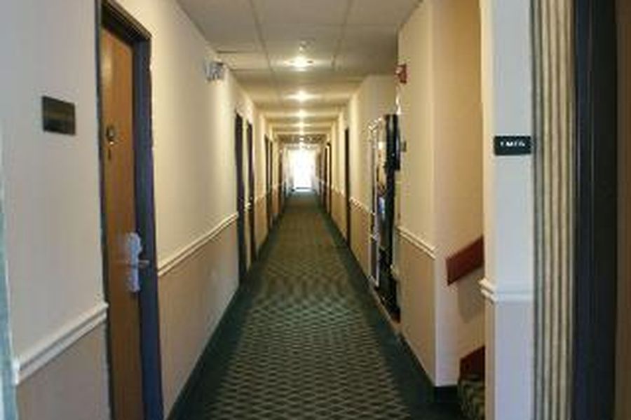 foto-2